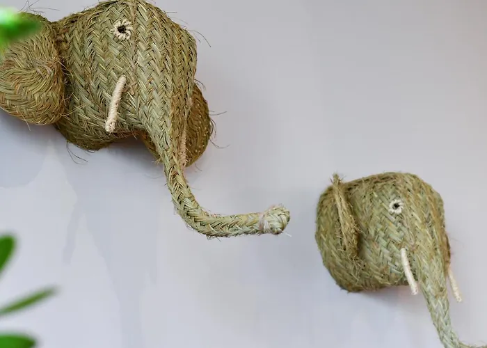 塞尔塔酒店 酒店