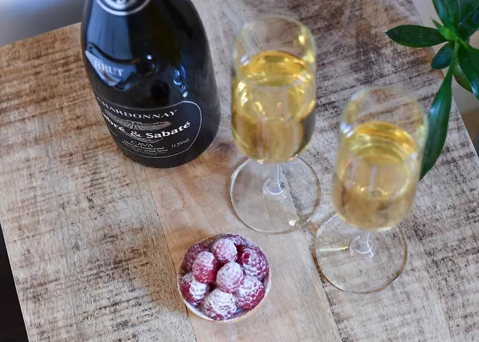 塞尔塔酒店 酒店 比戈