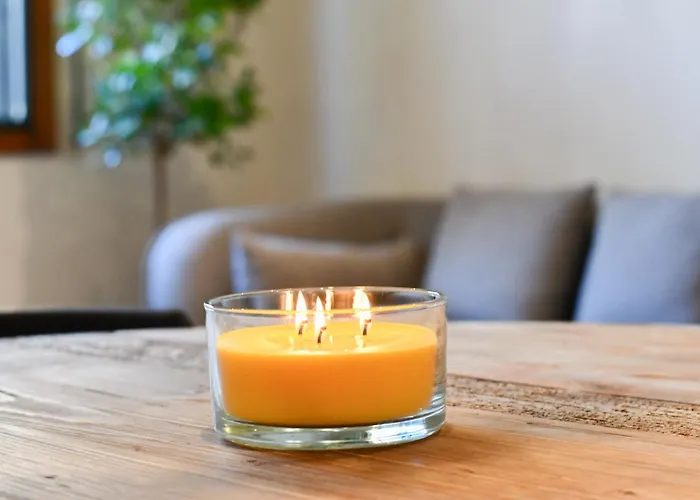 塞尔塔酒店 酒店