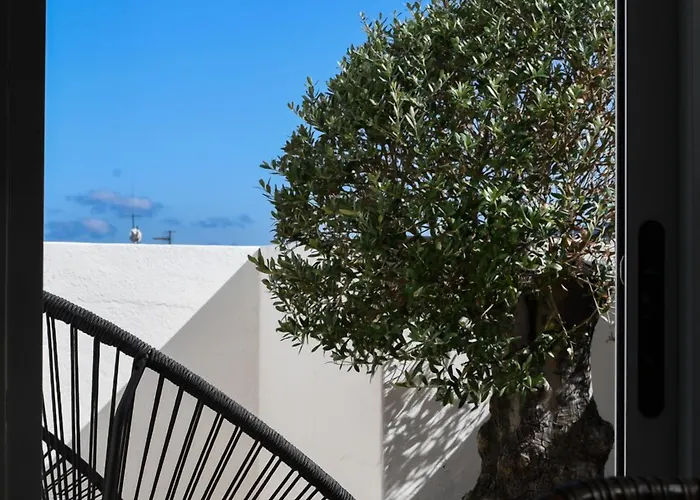 塞尔塔酒店 酒店