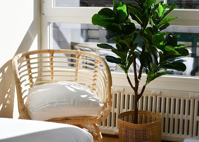 塞尔塔酒店 酒店 2*