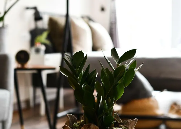 Celta Ξενοδοχείο Βίγκο